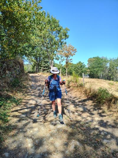 Saint bonnet le courreau