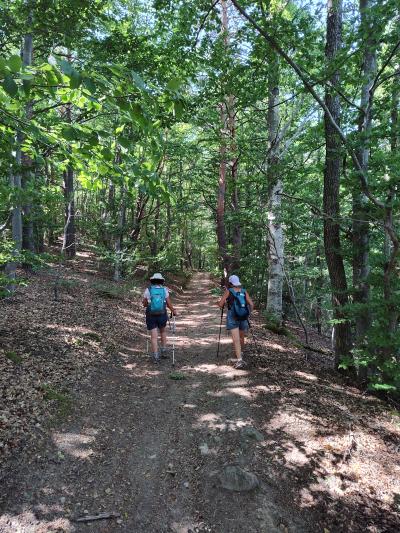 Saint bonnet le courreau