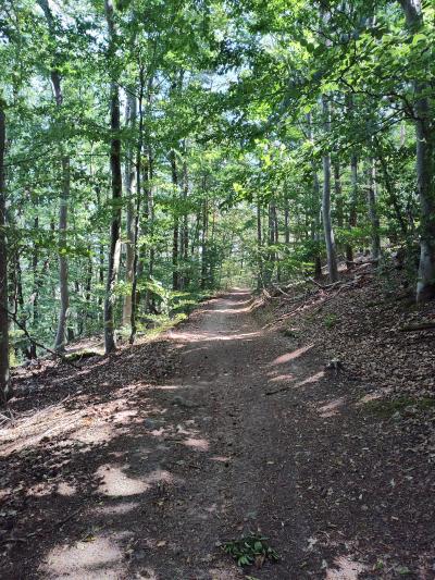 Saint bonnet le courreau