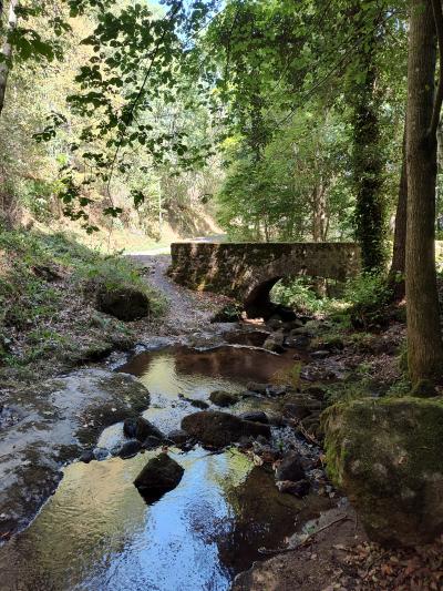 Saint bonnet le courreau