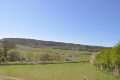 La visite des Bisons