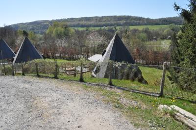 Petit déjeuner après une nuit dans le tipi