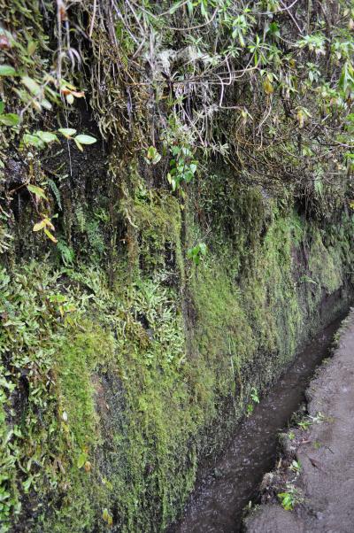 Randonnée de la Levada do Caldeirão Verde