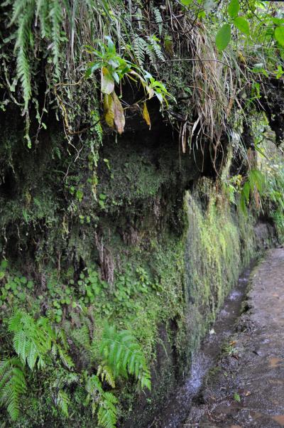 Randonnée de la Levada do Caldeirão Verde