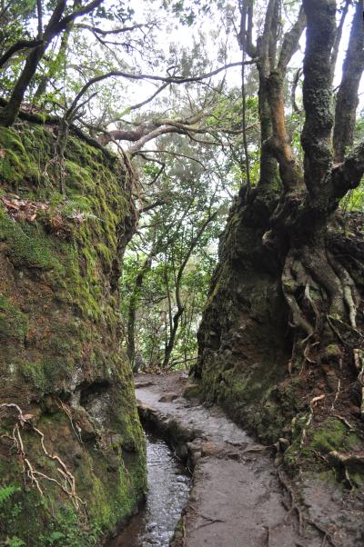 Randonnée de la Levada do Caldeirão Verde