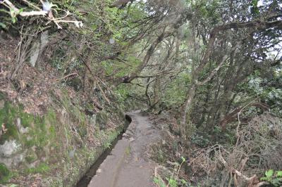 Randonnée de la Levada do Caldeirão Verde