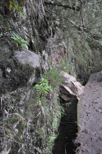 Randonnée de la Levada do Caldeirão Verde