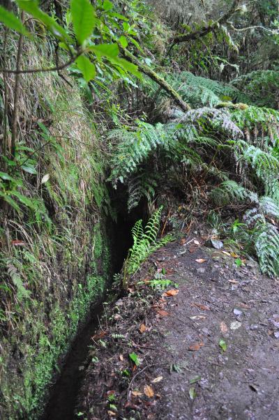 Randonnée de la Levada do Caldeirão Verde