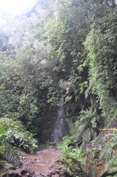 Randonnée de la Levada do Caldeirão Verde