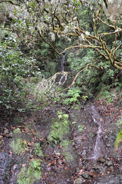 Randonnée de la Levada do Caldeirão Verde