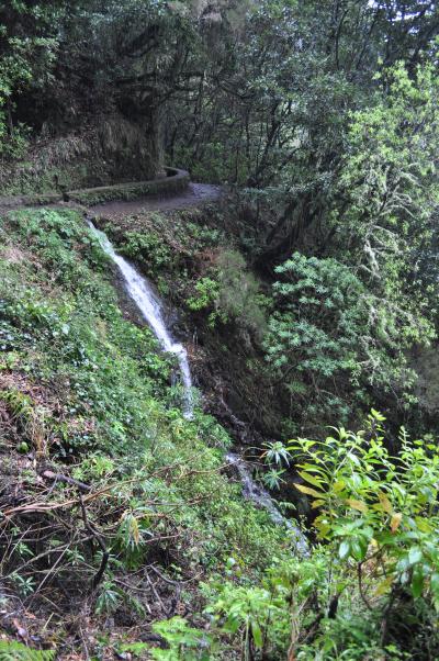 Randonnée de la Levada do Caldeirão Verde