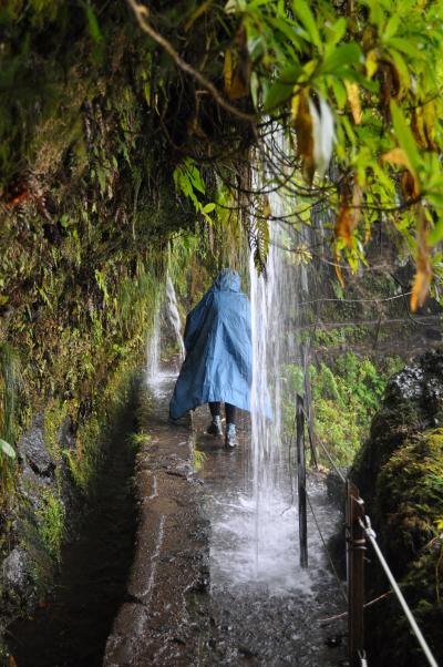 Randonnée de la Levada do Caldeirão Verde