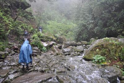Randonnée de la Levada do Caldeirão Verde