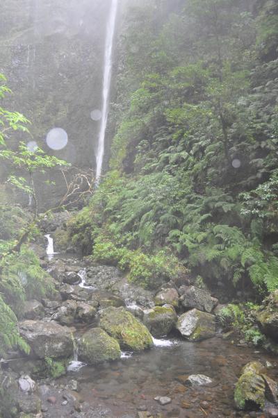 Randonnée de la Levada do Caldeirão Verde