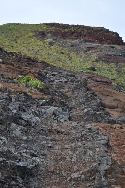 Visite de la Ponta de São Lourenço