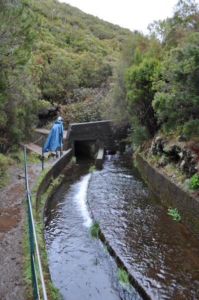 En route pour la Levada do Alecrim