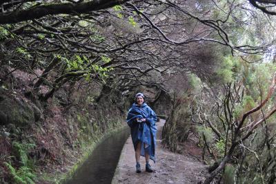 En route pour la Levada do Alecrim