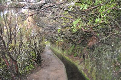 En route pour la Levada do Alecrim