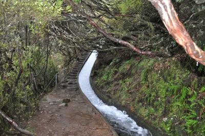 En route pour la Levada do Alecrim