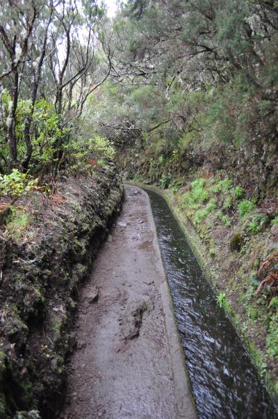 En route pour la Levada do Alecrim