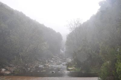 En route pour la Levada do Alecrim