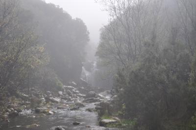 En route pour la Levada do Alecrim