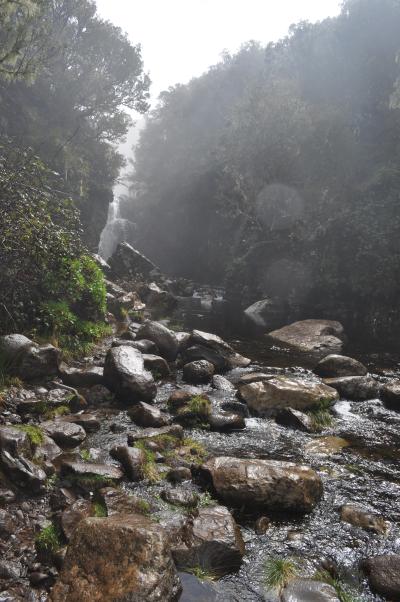 En route pour la Levada do Alecrim
