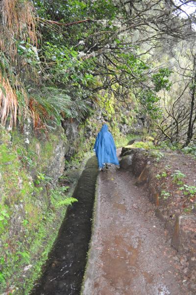 En route pour la Levada do Alecrim