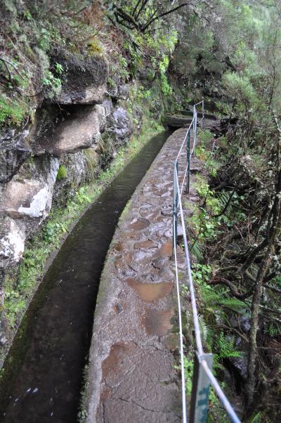 En route pour la Levada do Alecrim