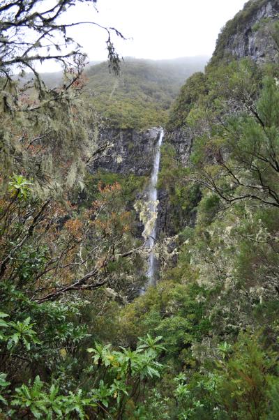 En route pour la Levada do Alecrim