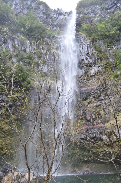En route pour la Levada do Alecrim