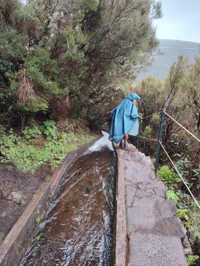 En route pour la Levada do Alecrim