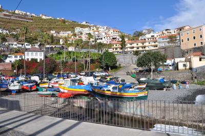 Visite de Câmara de Lobos et repas en bord de mer
