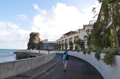 Visite de Câmara de Lobos et repas en bord de mer