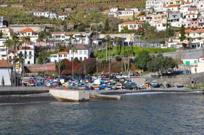 Visite de Câmara de Lobos et repas en bord de mer