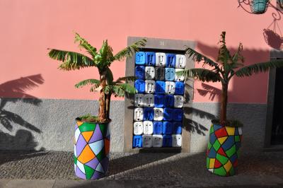 Visite de Câmara de Lobos et repas en bord de mer