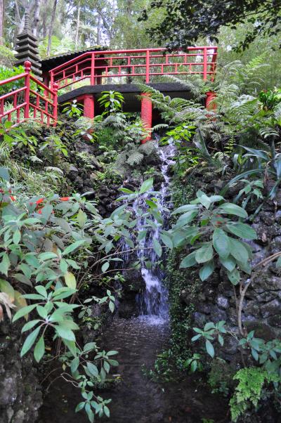 Visite du jardin tropical de Monte palace