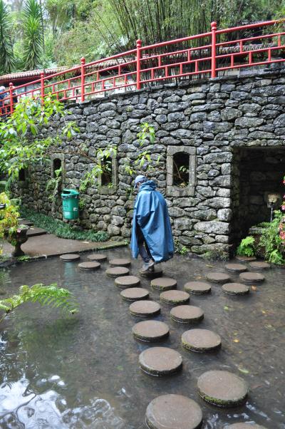 Visite du jardin tropical de Monte palace
