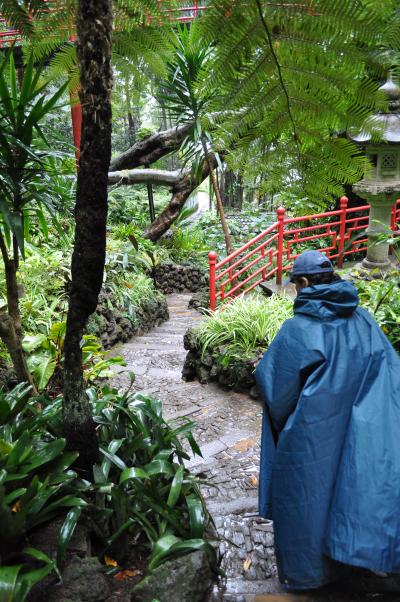 Visite du jardin tropical de Monte palace