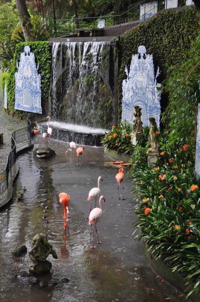 Visite du jardin tropical de Monte palace