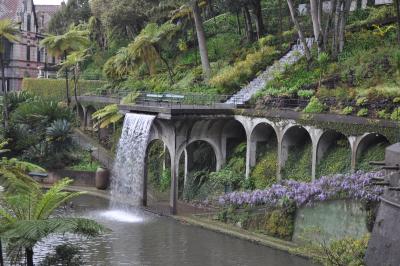 Visite du jardin tropical de Monte palace