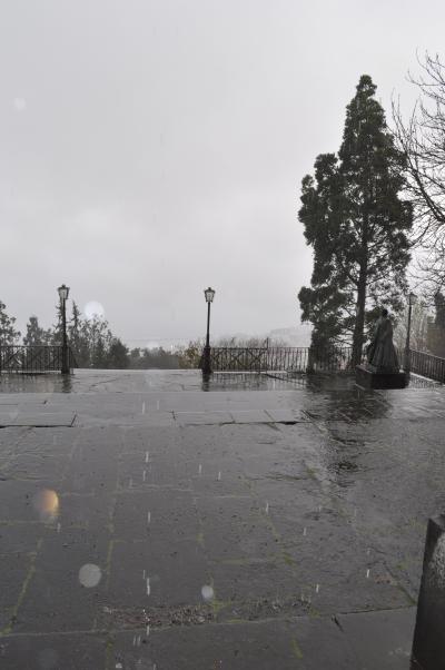 Visite du jardin tropical de Monte palace