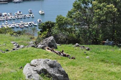 Randonnée à Machico ancienne capital de Madère