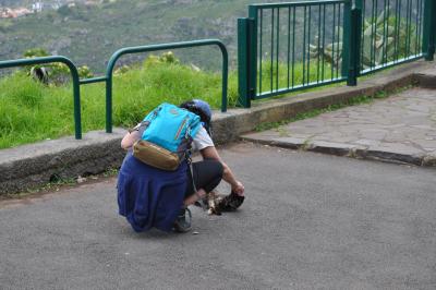 Randonnée à Machico ancienne capital de Madère