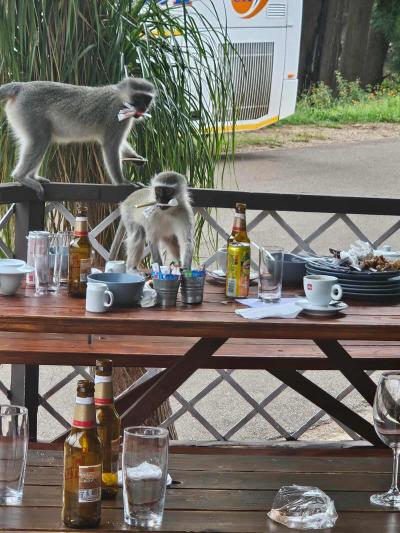Pilgrim'rest / Blyde river canyon / White river