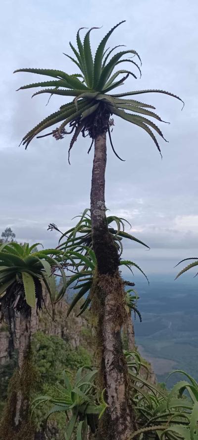 Pilgrim'rest / Blyde river canyon / White river