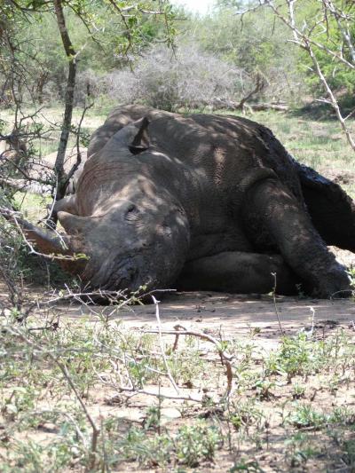 Parc national Kruger / Royaume du Eswatini