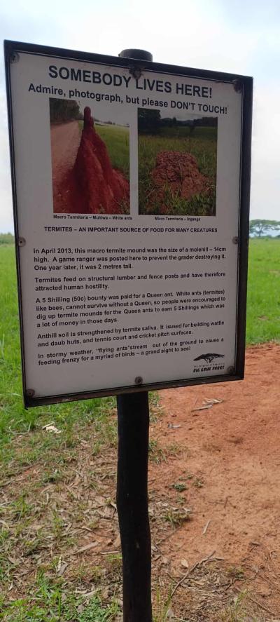 Le royaume du Eswatini / Waterval Bolen