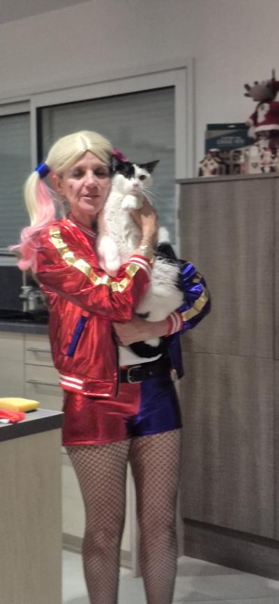 Bonne année 2026 les Supers Vilains