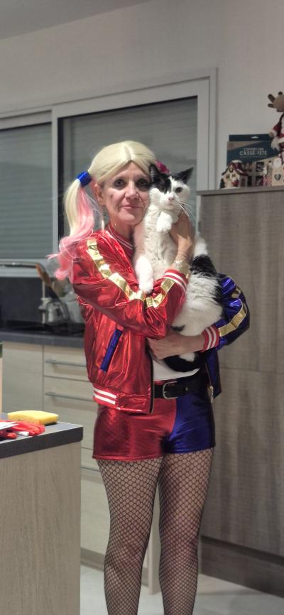 Bonne année 2026 les Supers Vilains